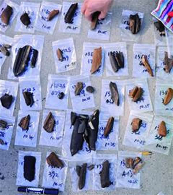 �ൺ����ɽ��ʯ����ַҰ�ⷢ��������