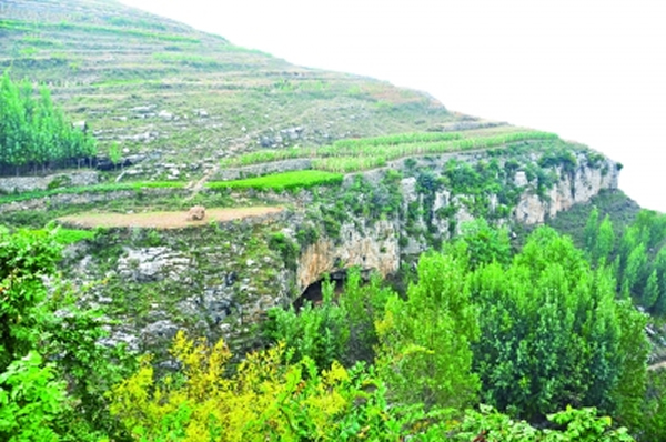 ��ⶴ��ַԶ��