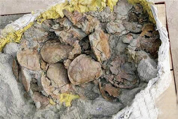 ½ڷִԼ1800٪޼ʱڹ껯ʯ