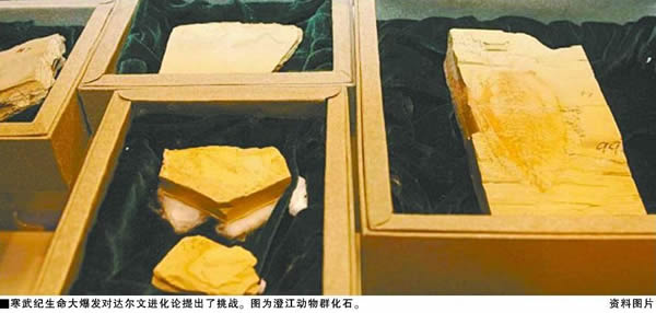 ͻ�ƴ���Ľ����۽�������