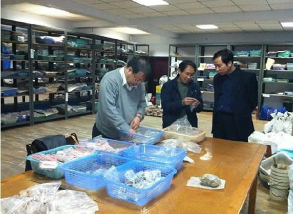 �ձ������Ļ����о���ר�Ҳι��й���ʯ����ַ