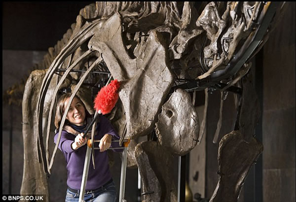 美国发现的完整梁龙骨架化石