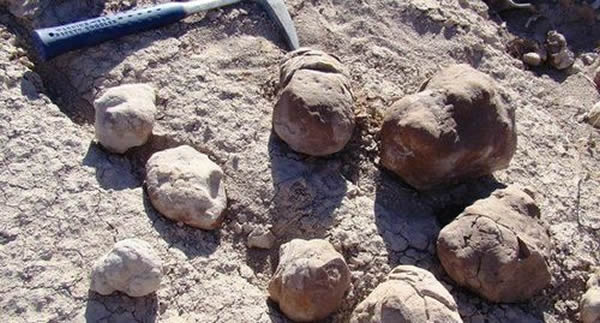 ����͢����2.4����ǰ��ʷǰ�����ޡ�