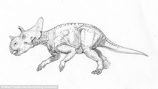 ��������ԭͼ