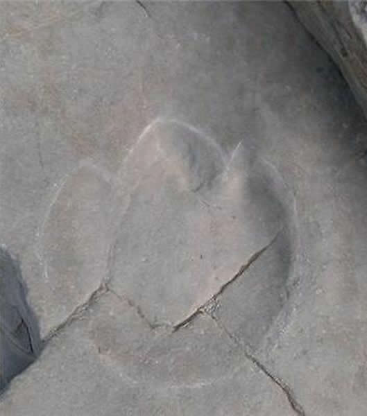 ���������޽�������㼣��ʯ