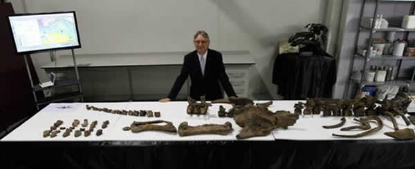 ����������������ŷ��������װ�׿�������������Ǽܻ�ʯ