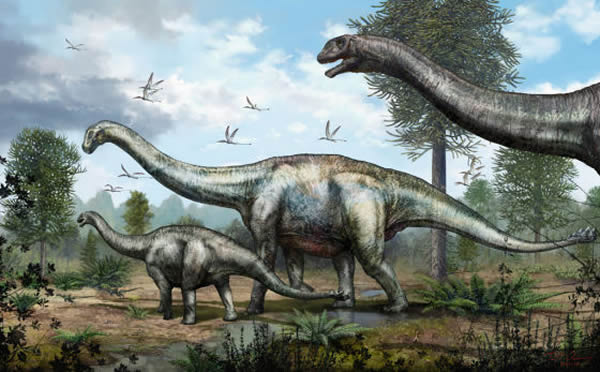 �й�����»���������һ�ֻ�������������