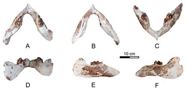 �����л�������������ǣ���Ԫ��ͼ��