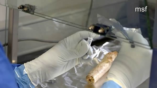 国际团队对约40万年前的欧洲古人类遗骨进行基因测序