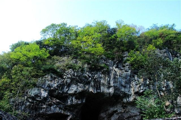 ����ʡ�����ָ����縣�Ҷ�����5ö���������ݺʹ�Ĳ��鶯�ﻯʯ