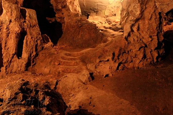 ����ʡ�����ָ����縣�Ҷ�����5ö���������ݺʹ�Ĳ��鶯�ﻯʯ