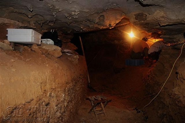 ����ʡ�����ָ����縣�Ҷ�����5ö���������ݺʹ�Ĳ��鶯�ﻯʯ