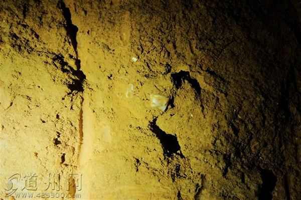 ����ʡ�����ָ����縣�Ҷ�����5ö���������ݺʹ�Ĳ��鶯�ﻯʯ