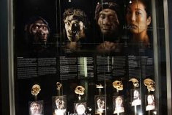 ������ҡ�����Ϸ�˹̩�˷����Ҷ�