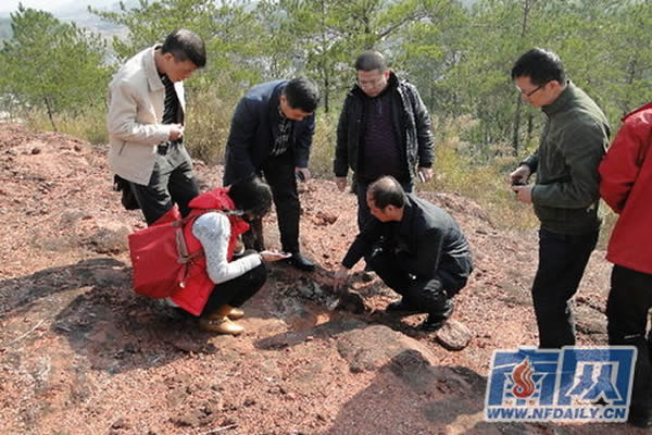 ר���������ݽֵ�����¶����������ʯ