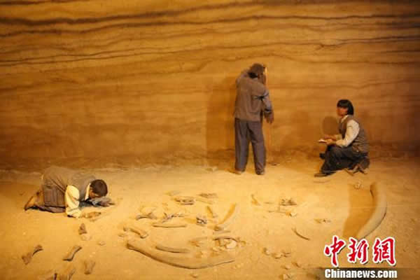 ����岩������ھ��ֳ����ܡ��ݹ�����Ա���ܣ����й���ھ���Ǻӱ�ʡ����ָ��ֳ�л�ɡ�