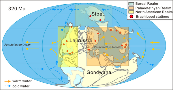 早石炭世晚期全球构造和洋流循环模式以及腕足动物分区