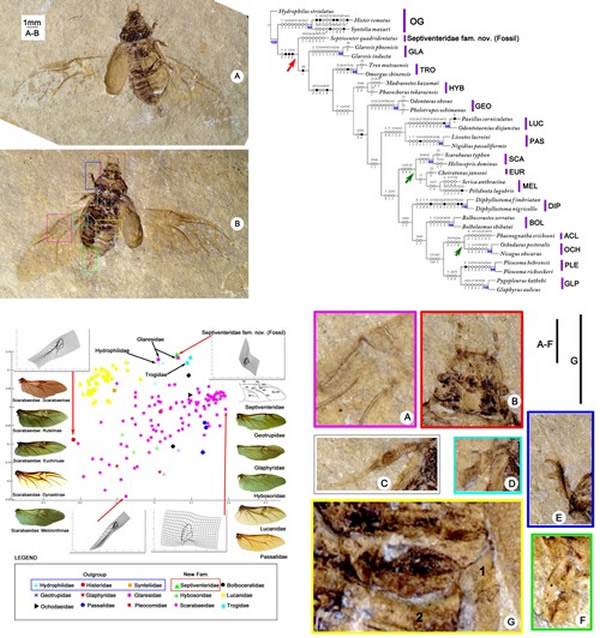 ����Ӽ׳��ݻ��о�ȡ���½�չ