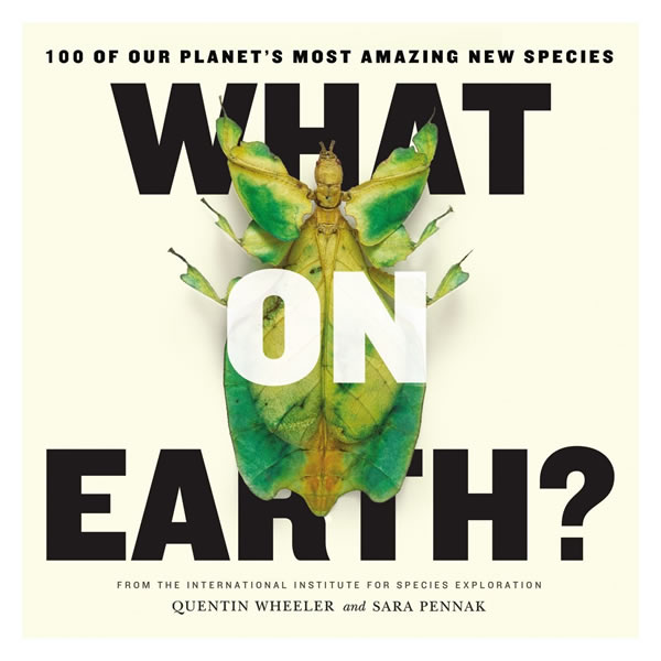 1.25����ǰ����������ѡ�����������ְٽܡ�