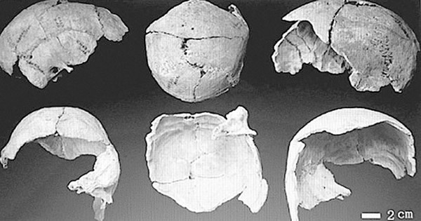 �������ˡ���ʯ��д���������