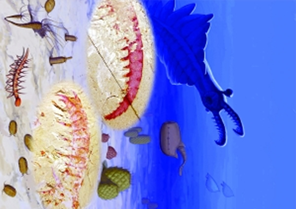 ��Ϻצ�ӻ�ʯ����Ϻβ