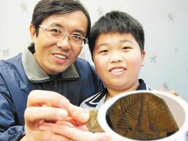 ��˳��������Ϊѧ����������ң��ҵ��Ļ�ʯӦ������Ҷ�棬���Ʋ�����Ϊ�����ܣ���Ϊ��Ҷ���������̨�嵺�����������ꡣ