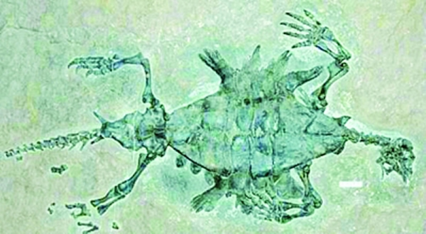 ��������֪����ϵ��ڹ꣺��׳ݹ�