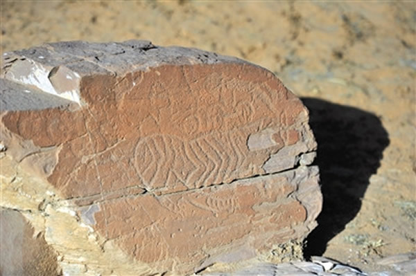 ���������ġ�������ͷ��ͼ�����������������ȱ��