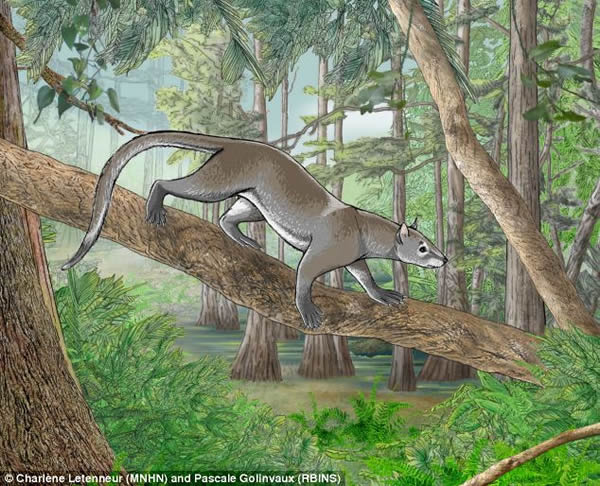 ����ʱ5500����ǰ���ܲ��鶯�ﻯʯ��ʾè����ͬ����