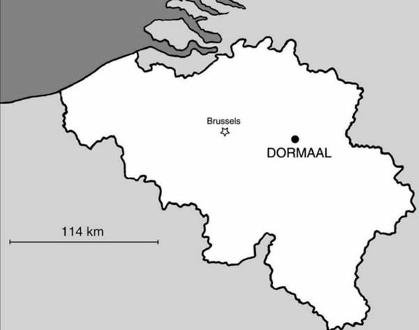 ����ʱ5500����ǰ���ܲ��鶯�ﻯʯ��ʾè����ͬ����