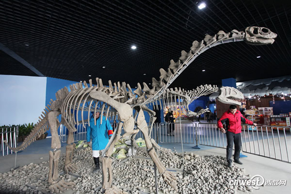 ������Ա���ڲ�չ