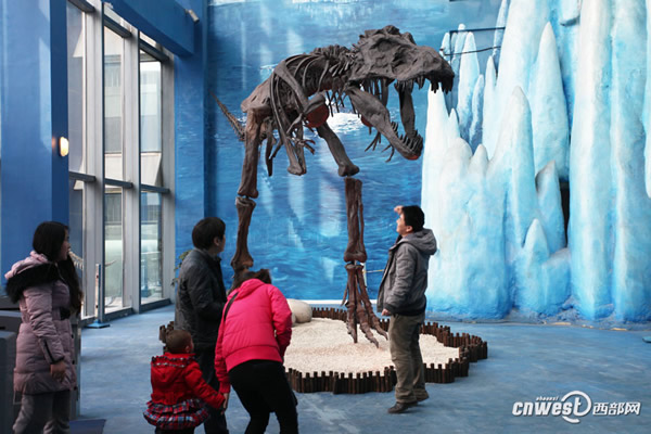 ���ع��ڵĿ������Ǽ�չʾ