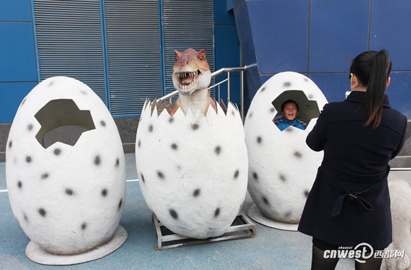 �굽���������ĸ���