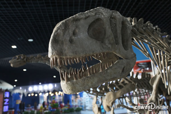 �Ĵ��Թ���������������Ĺ�����������ʯ���ڼ��ع��𺳵ǳ�