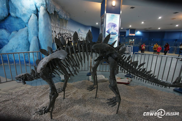 �Ĵ��Թ���������������Ĺ�����������ʯ���ڼ��ع��𺳵ǳ�