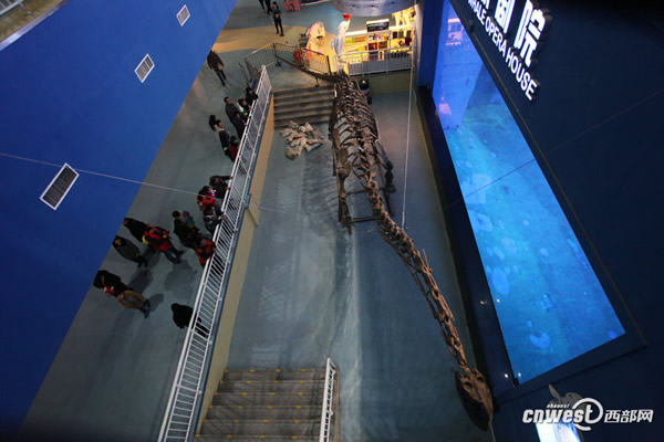 �Ĵ��Թ���������������Ĺ�����������ʯ���ڼ��ع��𺳵ǳ�