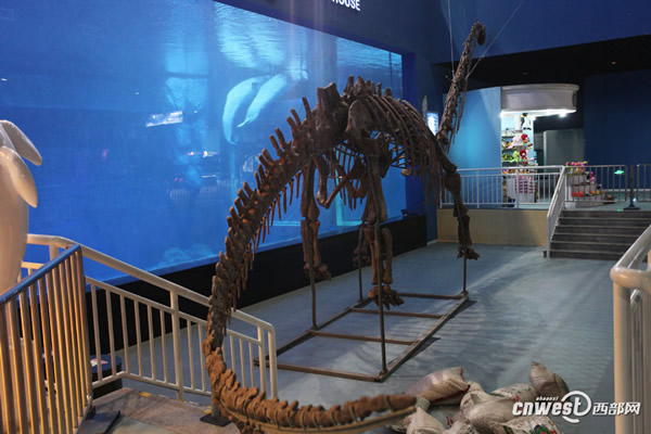 �Ĵ��Թ���������������Ĺ�����������ʯ���ڼ��ع��𺳵ǳ�