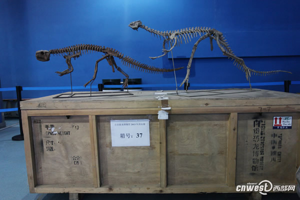 �Ĵ��Թ���������������Ĺ�����������ʯ���ڼ��ع��𺳵ǳ�