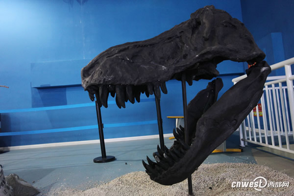 �Ĵ��Թ���������������Ĺ�����������ʯ���ڼ��ع��𺳵ǳ�