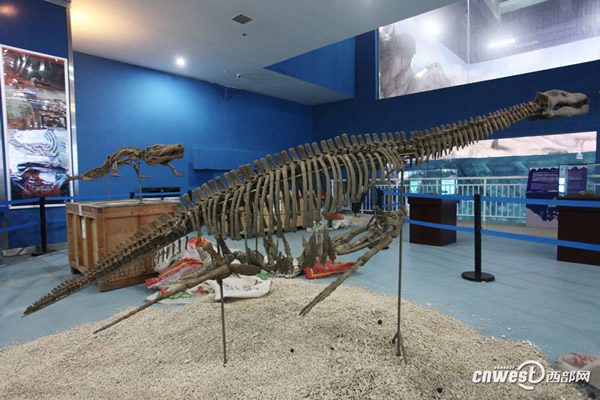 �Ĵ��Թ���������������Ĺ�����������ʯ���ڼ��ع��𺳵ǳ�