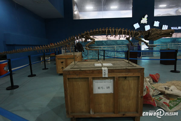 �Ĵ��Թ���������������Ĺ�����������ʯ���ڼ��ع��𺳵ǳ�