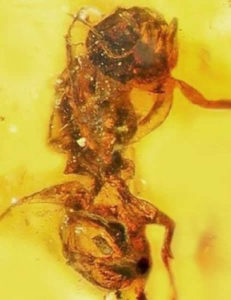 �о���Ա������������з������۷�