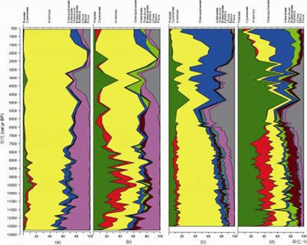 (a) 好鲁库湖花粉百分比; (b) 好鲁库湖植物丰度; (c) 巴彦查干湖花粉百分比; (d) 巴彦查干湖植物丰度