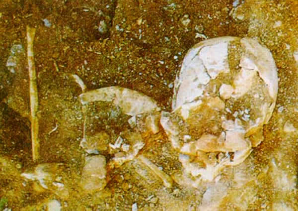 ��ţɽ��ͷ�ǻ�ʯ