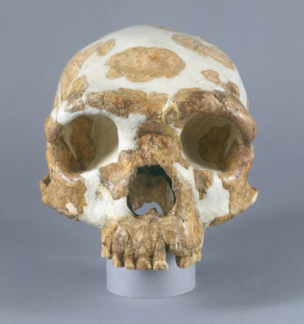 ��ţɽ��ͷ�ǻ�ʯ