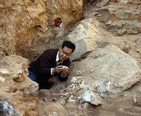 �����̽�����������ţɽ�ˡ�