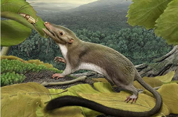 ��������������̥�̲��鶯����������ͬһʱ�ڣ����������ʼ�����֡�