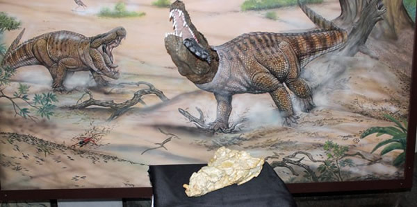 Sahitisuchus fluminensis�ĸ�ԭͼ