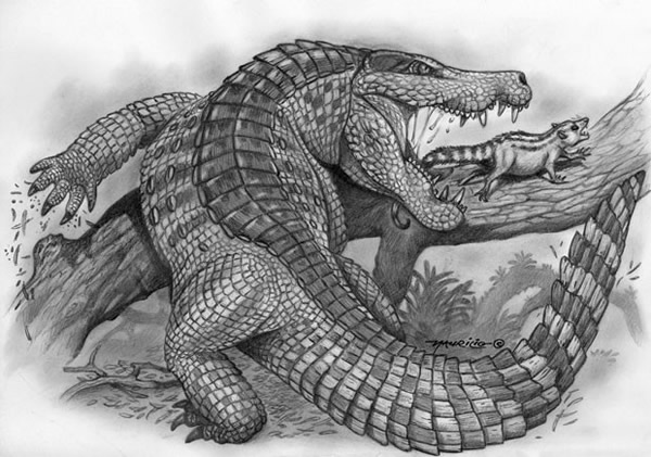 Sahitisuchus fluminensis�ĸ�ԭͼ