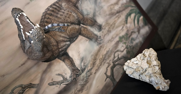 Sahitisuchus fluminensis�ĸ�ԭͼ